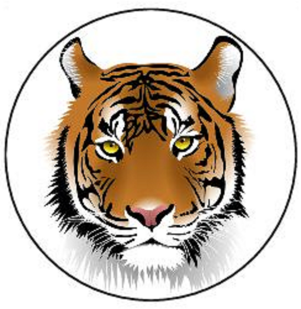 TIGER 30 x 4cm PREMIUM EDIBLE ICING ROUND CUP CAKE TOPPERS WILD ANIMAL D4