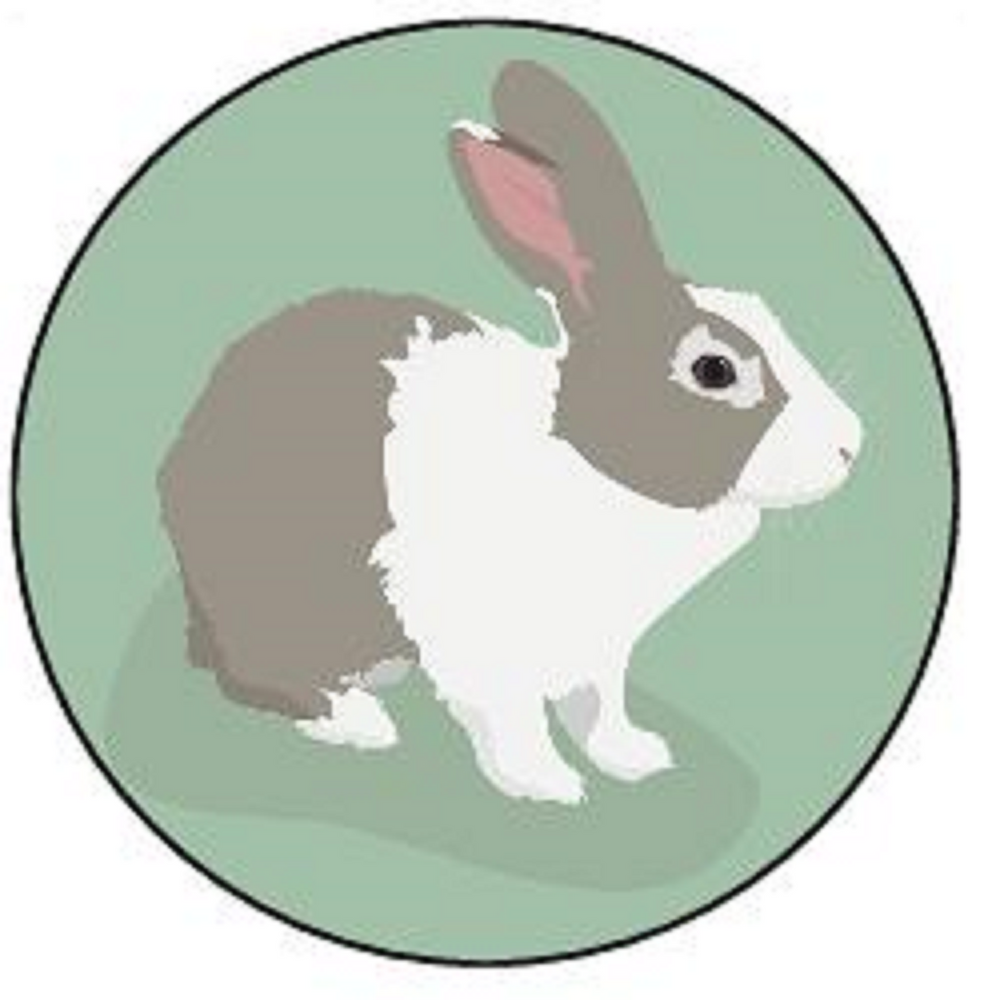 RABBIT 30 x 4cm PREMIUM EDIBLE ICING ROUND CUP CAKE TOPPERS CUTE BUNNY ...