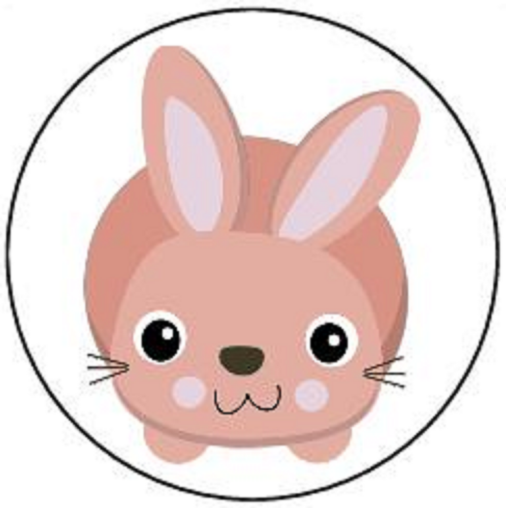 RABBIT 30 x 4cm PREMIUM EDIBLE ICING ROUND CUP CAKE TOPPERS CUTE  BUNNY D9