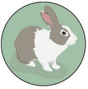 RABBIT 30 x 4cm PREMIUM EDIBLE RICE PAPER ROUND CUP CAKE TOPPERS CUTE BUNNY D15